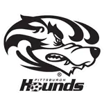 Logo for Pittsburgh Riverhounds