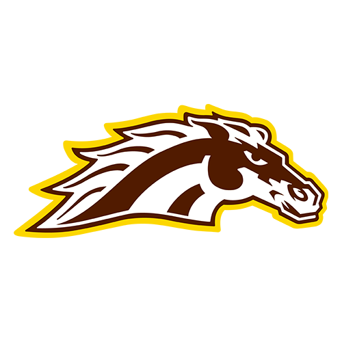 Logo for Western Michigan Broncos